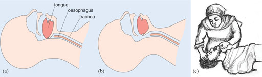 non comm session8 fig7.jpg